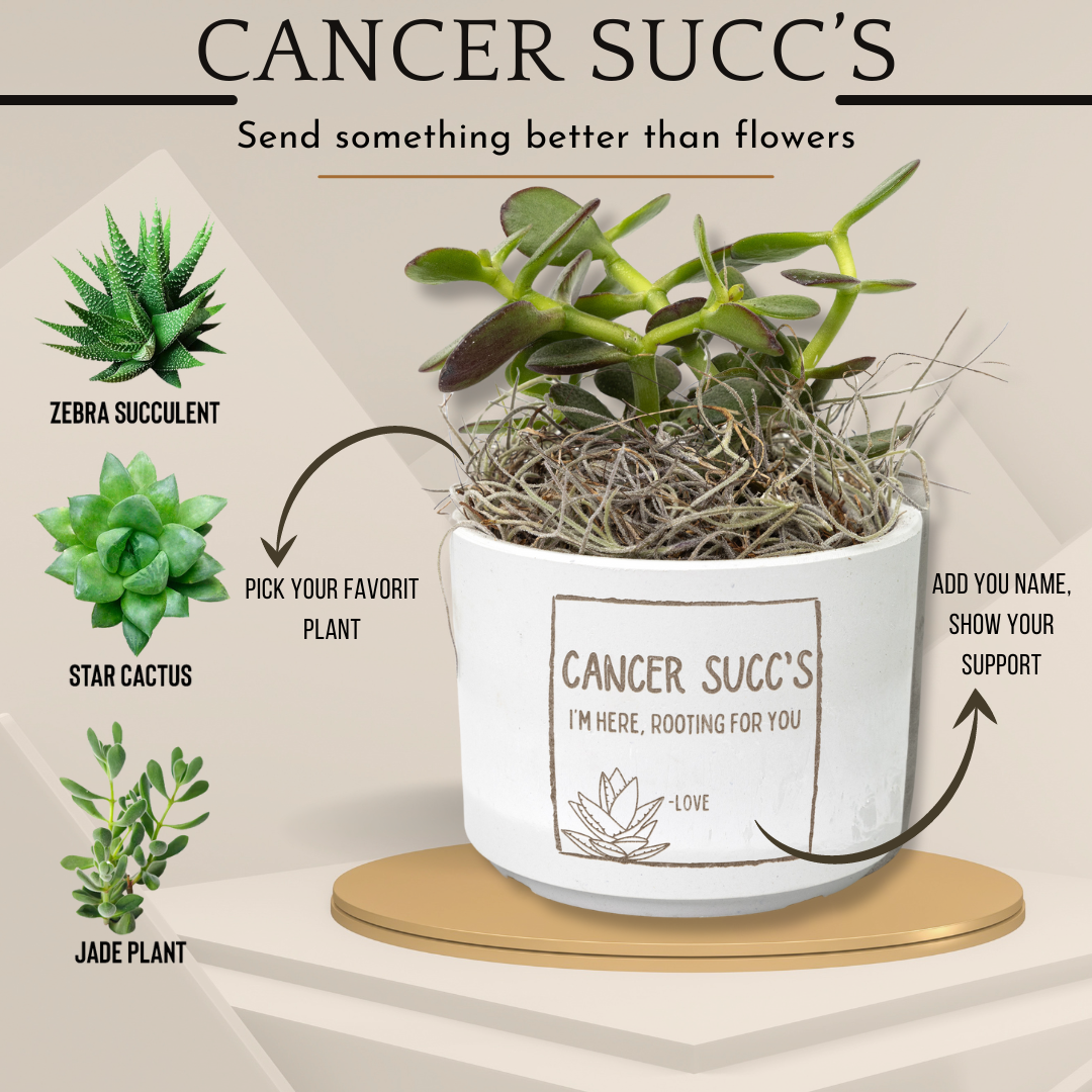 Cancer Succ's